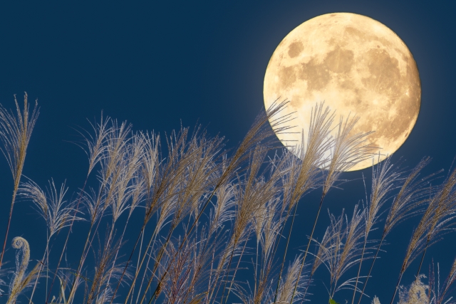 Fte de lune